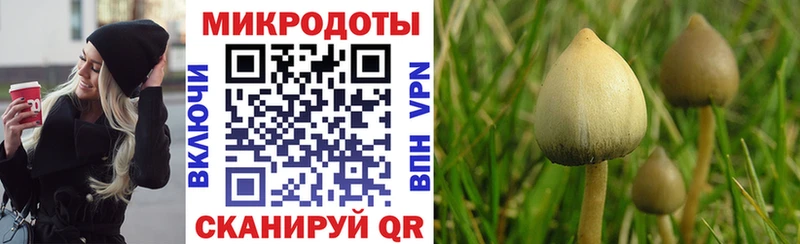 Псилоцибиновые грибы прущие грибы Краснознаменск